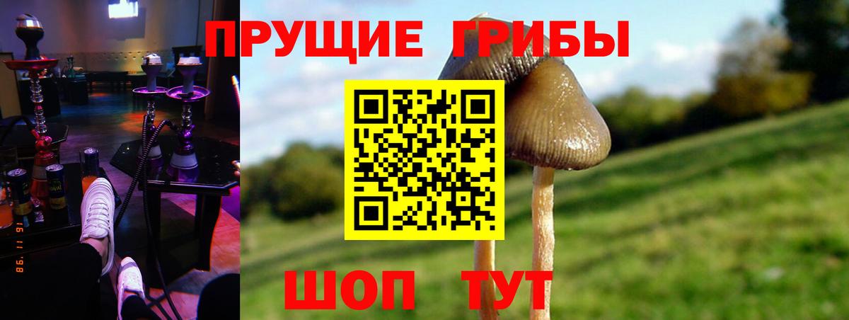 Галлюциногенные грибы мухоморы  Донецк  Псилоцибиновые грибы Magic Shrooms 